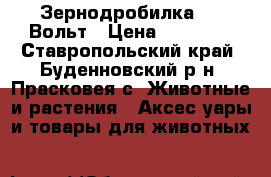 Зернодробилка 220 Вольт › Цена ­ 10 000 - Ставропольский край, Буденновский р-н, Прасковея с. Животные и растения » Аксесcуары и товары для животных   
